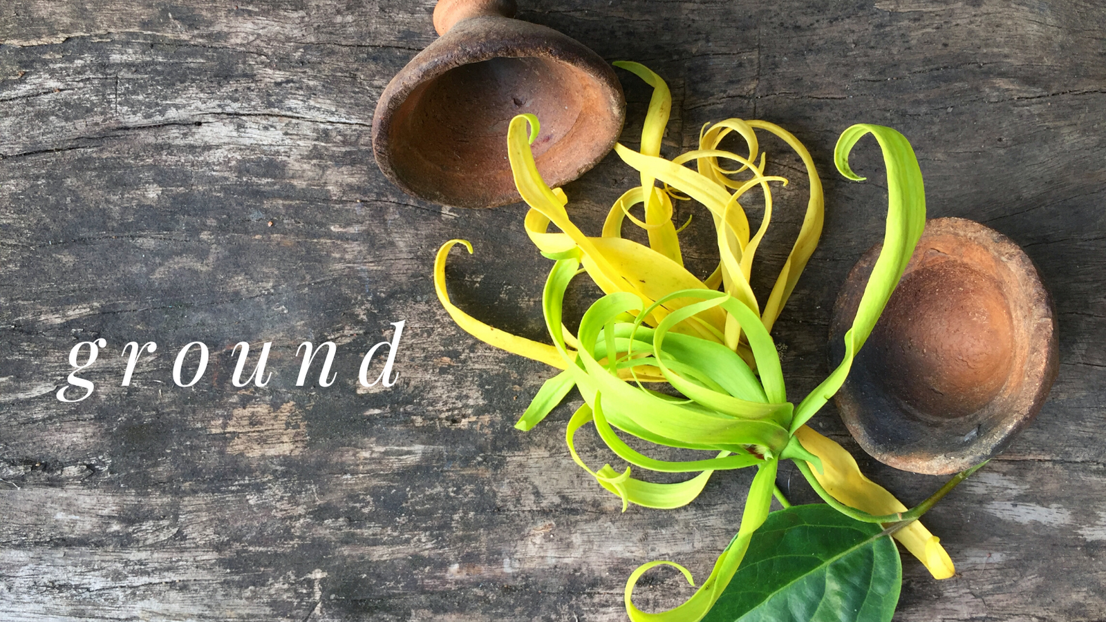 Ground (Ylang Ylang Essential Oil) - 0.5oz / 15ml