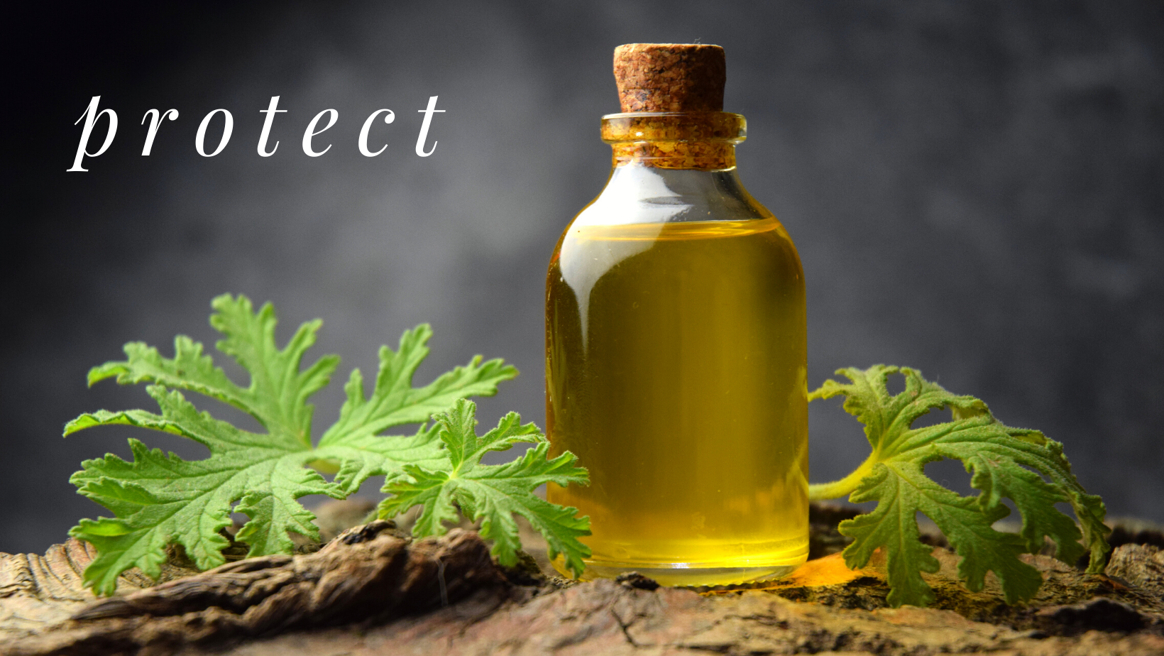 Protect (Citronella Essential Oil) - 0.5oz / 15ml